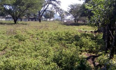 VENDO EXCELENTE   TERRENO  EN COATEPEC