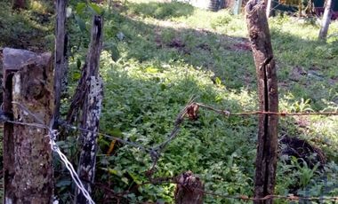 VENDO EXCELENTE   TERRENO  EN COATEPEC