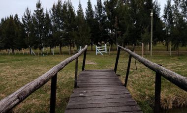 Campo venta 3 cabañas pileta, laguna, cancha de fútbol, arbolada -1.8 hectáreas - Magdalena