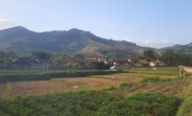 Tanah Nagreg Bandung Dekat Stasiun 900rb permeter