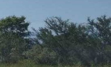 TERRENO EN VENTA EN CADEREYTA JIMENEZ