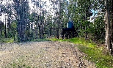 Parcela en Venta en La vega de pupuya