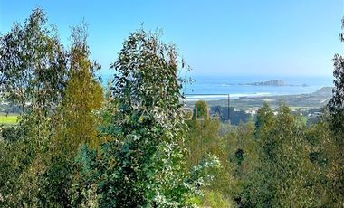 Parcela en Venta en La vega de pupuya