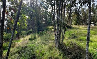 Parcela en Venta en La vega de pupuya