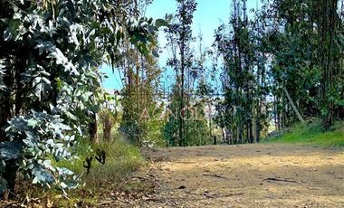 Parcela en Venta en La vega de pupuya