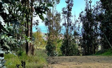 Parcela en Venta en La vega de pupuya