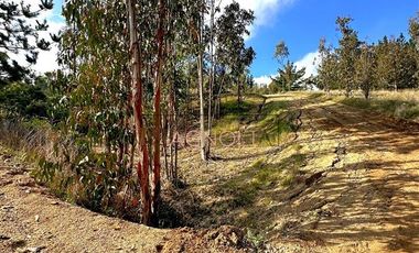 Parcela en Venta en La vega de pupuya