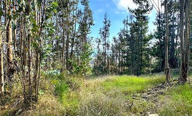 Parcela en Venta en La vega de pupuya