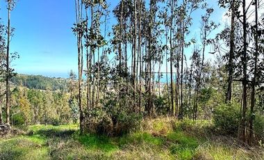 Parcela en Venta en La vega de pupuya