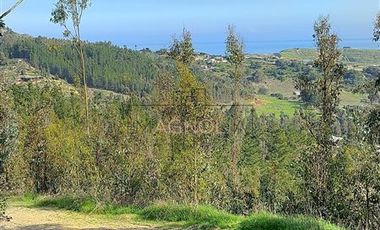 Parcela en Venta en La vega de pupuya