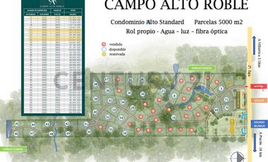 EXCLUSIVAS PARCELAS 5000 M2 A PASOS DE VILLARRICA