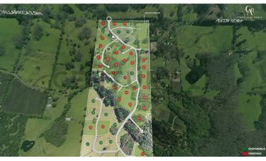 EXCLUSIVAS PARCELAS 5000 M2 A PASOS DE VILLARRICA