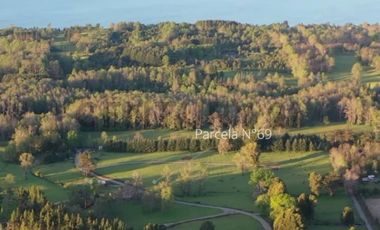 EXCLUSIVAS PARCELAS 5000 M2 A PASOS DE VILLARRICA