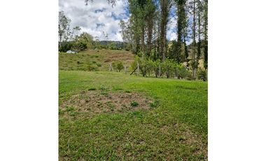 Lote en Venta con Bosque y dos Explanaciones