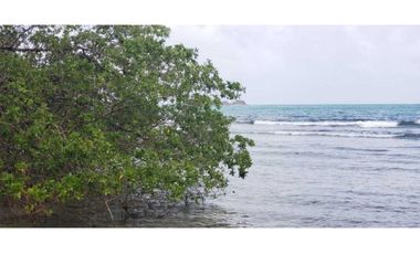 Terreno En Venta Frente Al Mar En Puerto Lindo