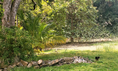 Terreno En Venta Frente Al Mar En Puerto Lindo