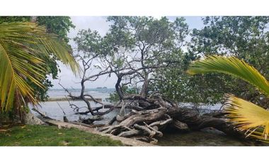 Terreno En Venta Frente Al Mar En Puerto Lindo