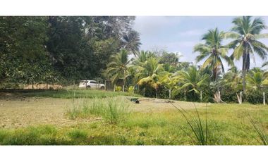 Terreno En Venta Frente Al Mar En Puerto Lindo
