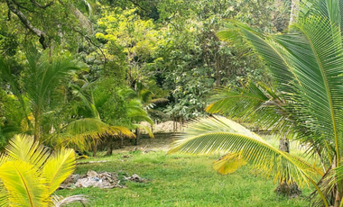 Terreno En Venta Frente Al Mar En Puerto Lindo