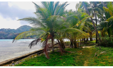 Terreno En Venta Frente Al Mar En Puerto Lindo