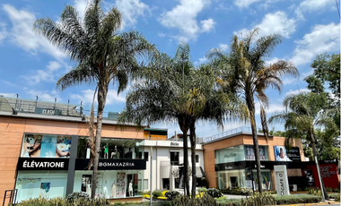 Local en Renta en Centro Comercial Altavista Uno Cuatro Siete (m2lc803)