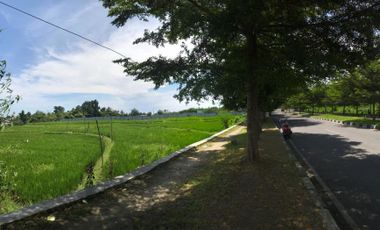 Land on Jalan Bung Hatta, Monjok