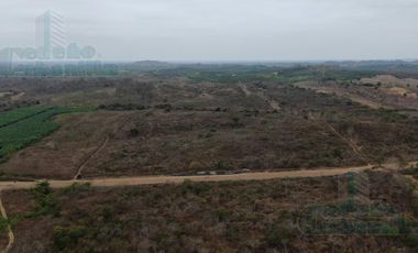 VENTA DE HACIENDA EN KM 43 SOBRE  VIA A LA COSTA Y DA AL CANAL  DE CEDEGE