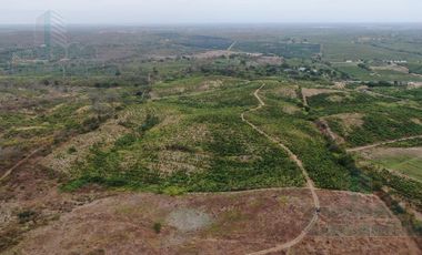 VENTA DE HACIENDA EN KM 43 SOBRE  VIA A LA COSTA Y DA AL CANAL  DE CEDEGE
