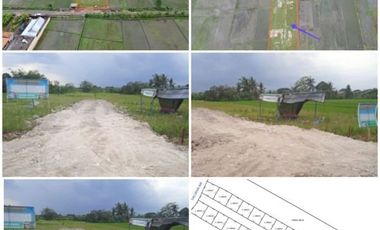 Tanah kavling view sawah, di daerah Nyitdah, Kediri, Tabanan Lokasi strategis