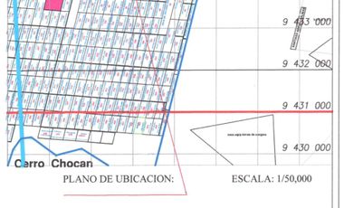 🛑 ¡Terreno De 8 Ha (202X400) En Plena Carretera Piura - Paita En Venta En Lote 09 Zona Congora, Paita!