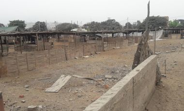 Terrenos Residenciales Venta JR. Gloriabamba - PUENTE PIEDRA