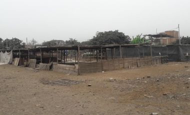 Terrenos Residenciales Venta JR. Gloriabamba - PUENTE PIEDRA