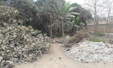 Terrenos Residenciales Venta JR. Gloriabamba - PUENTE PIEDRA