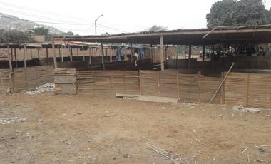 Terrenos Residenciales Venta JR. Gloriabamba - PUENTE PIEDRA