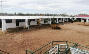 PLAZA DE RODEO EN VENTA, CON CABALLERIZAS