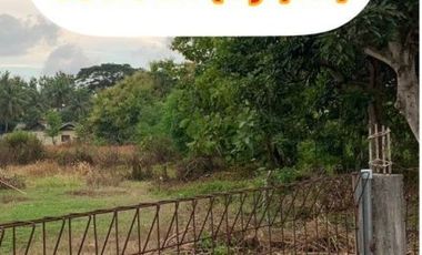 Tanah Pekarangan di Jalan Raya Wates Dekat Bandara YIA