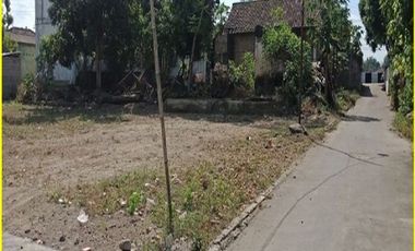 MURAH! TANAH INVESTASI DI SENTOLO JOGJA
