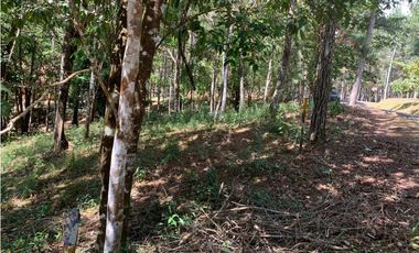 VENTA TERRENO CERRO AZUL