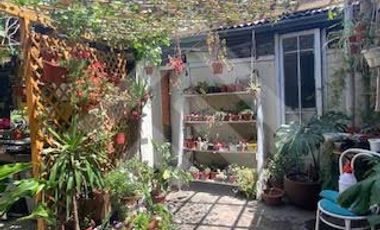 Sitio en Venta en Alcalde Pedro Alarcón / Santa Rosa