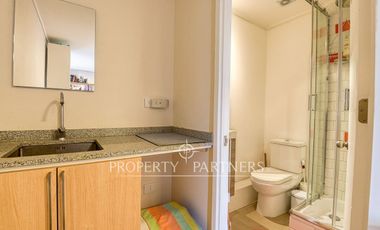 En Venta moderno departamento duplex en Ñuñoa. Preciosa azotea con vista a la cordillera!