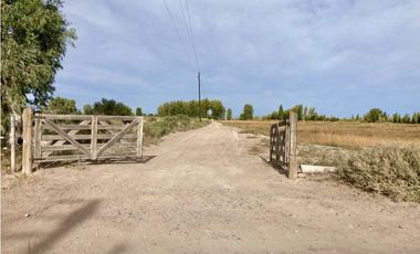 INMOBILIARIA MENDOKEY VENDE FINCA 50HAS EN LA DORMIDA, SANTA ROSA-MZA.