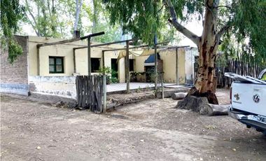 INMOBILIARIA MENDOKEY VENDE FINCA 50HAS EN LA DORMIDA, SANTA ROSA-MZA.