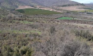 Terreno Construccion  en Venta en Peralillo - Illapel