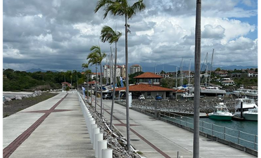Se Vende Terreno en San Carlos, Vista Mar Golf Beach & Marina