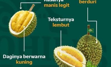 KAVLING TANAH VILA DAN BUAH MURAH AGROHILLS DI BOGOR (PROMO)