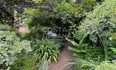 Casa con gran terreno Paso Hondo, Quilpué