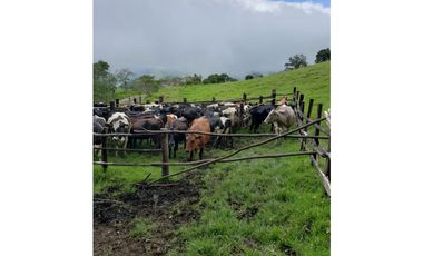 HERMOSA HACIENDA EN VENTA EN OTAVALO