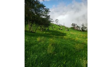 HERMOSA HACIENDA EN VENTA EN OTAVALO