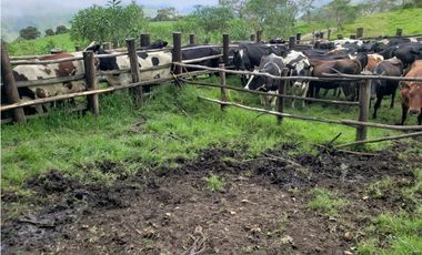 HERMOSA HACIENDA EN VENTA EN OTAVALO