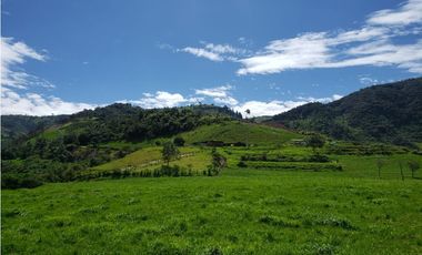 HERMOSA HACIENDA EN VENTA EN OTAVALO